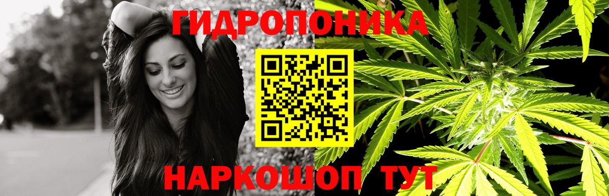 Каннабис Bruce Banner Можайск